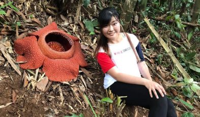 jungle trekking cameron highlands