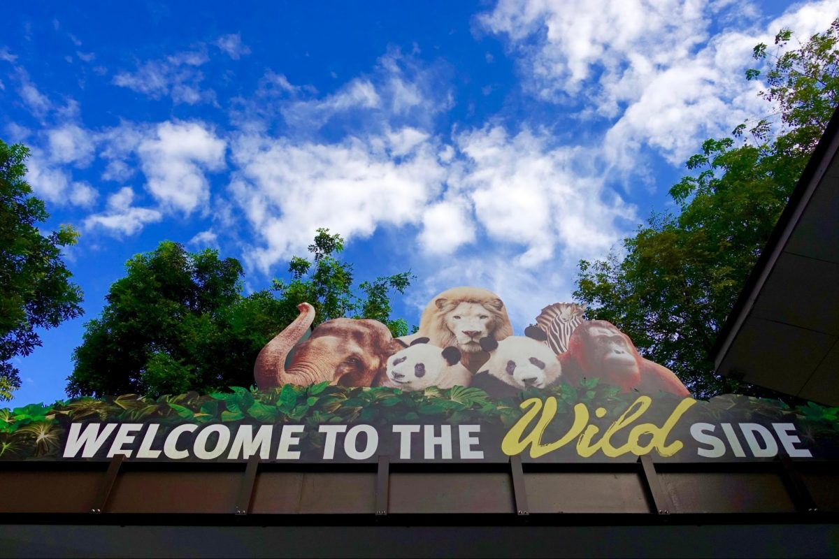 5 Things Singapore’s Wildlife Parks Do Better than Other Zoos Around