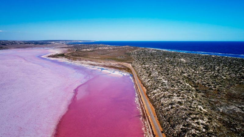 Pink Lake (Hutt Lagoon) in Port Gregory, Western Australia