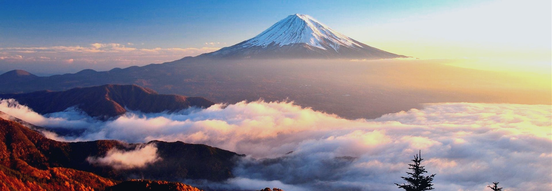 sunrise tours fuji