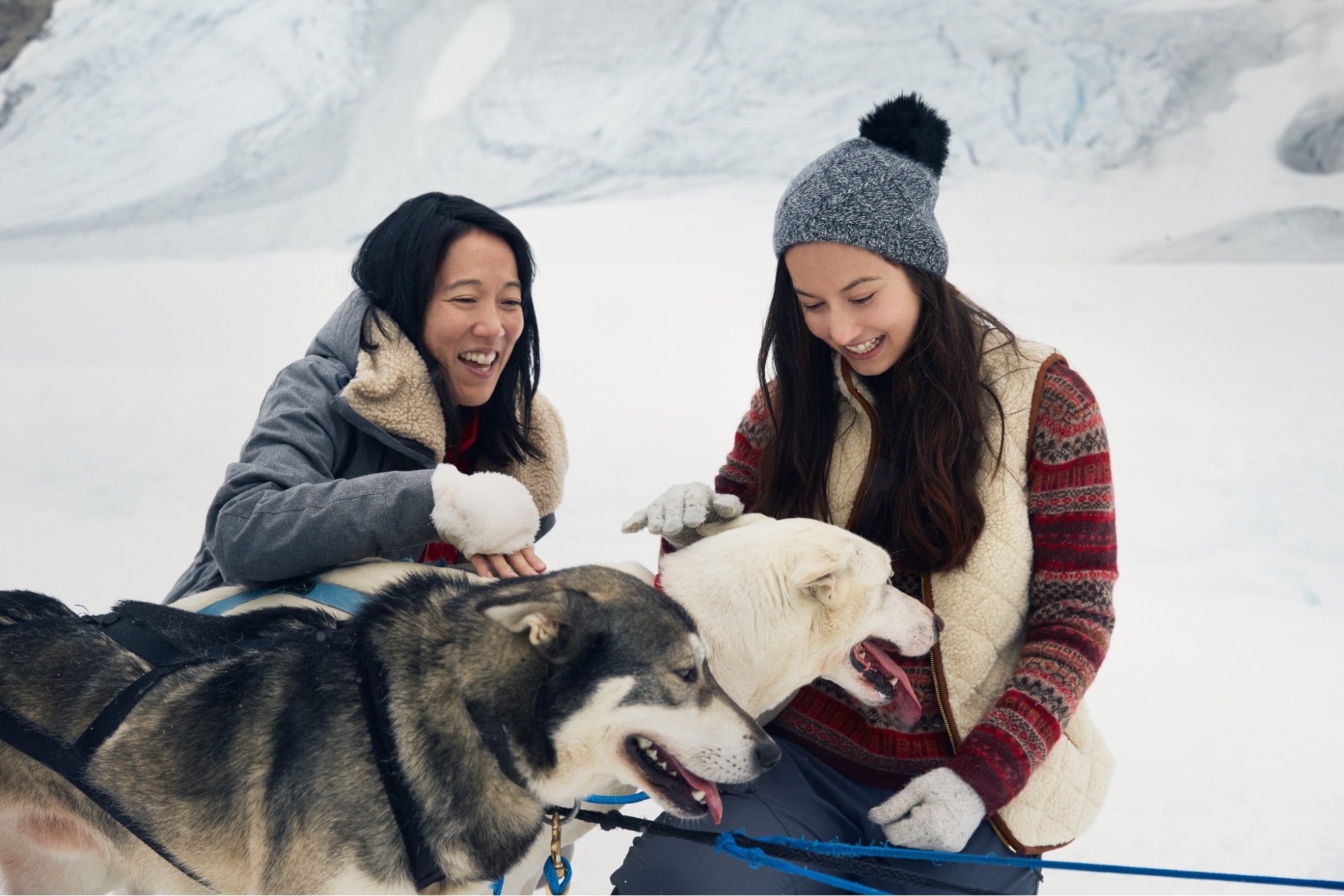 Dog Sledding on the Mendenhall Glacier, Alaska 