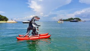 water bike