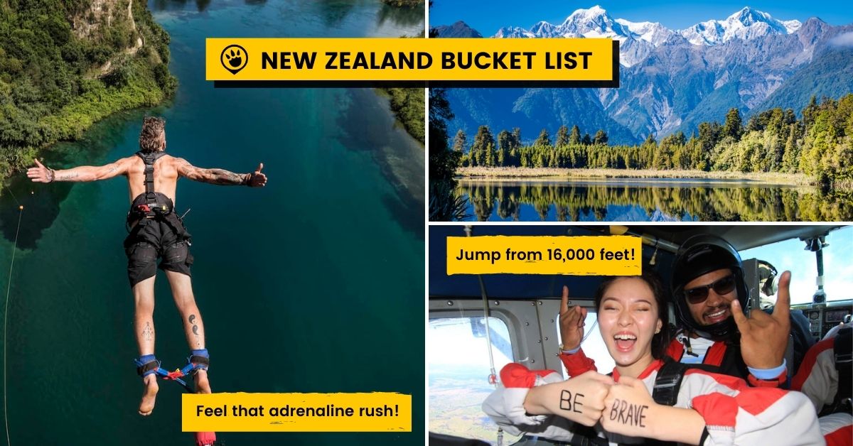 New Zealand Reliving Memories to Reignite Our Love for Travel