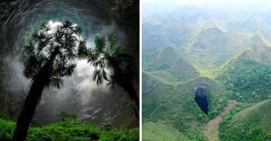 forest inside China sinkhole