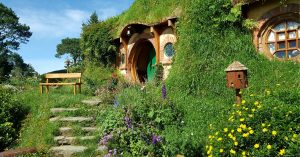 new zealand open borders