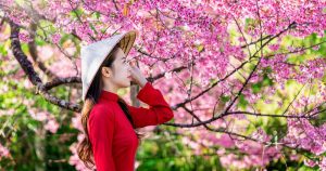 things to do vietnam