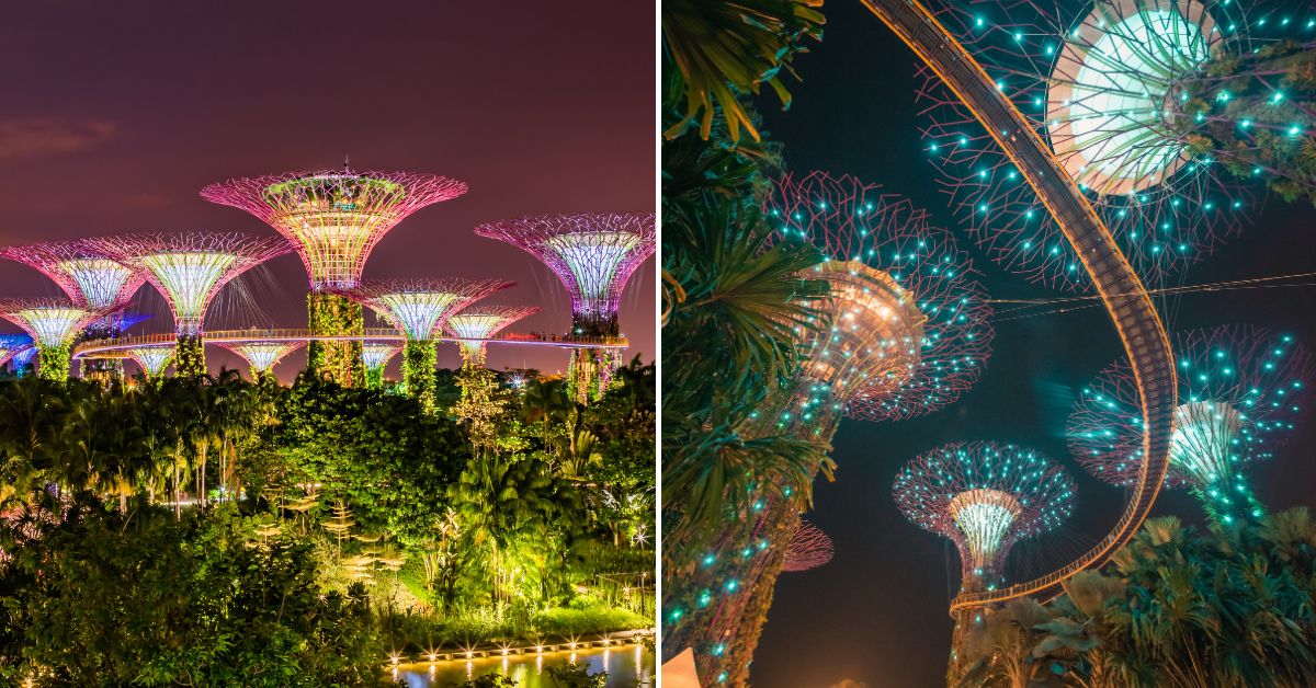 See the Northern Lights in Singapore? Don't Miss This Free Light Show! - Vimarsana News