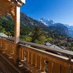 Best Airbnbs to see Alpine Wildflowers in Switzerland