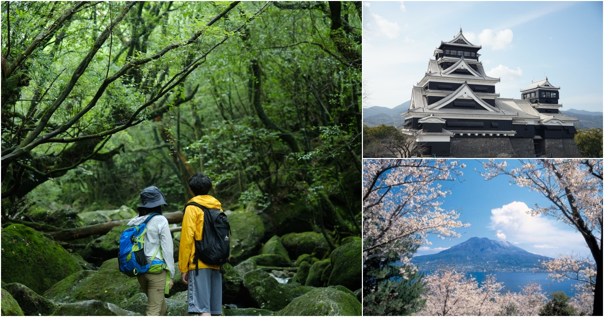 Self-Drive in Japan: A Scenic Road Trip From Fukuoka to Yakushima’s Ancient Forests