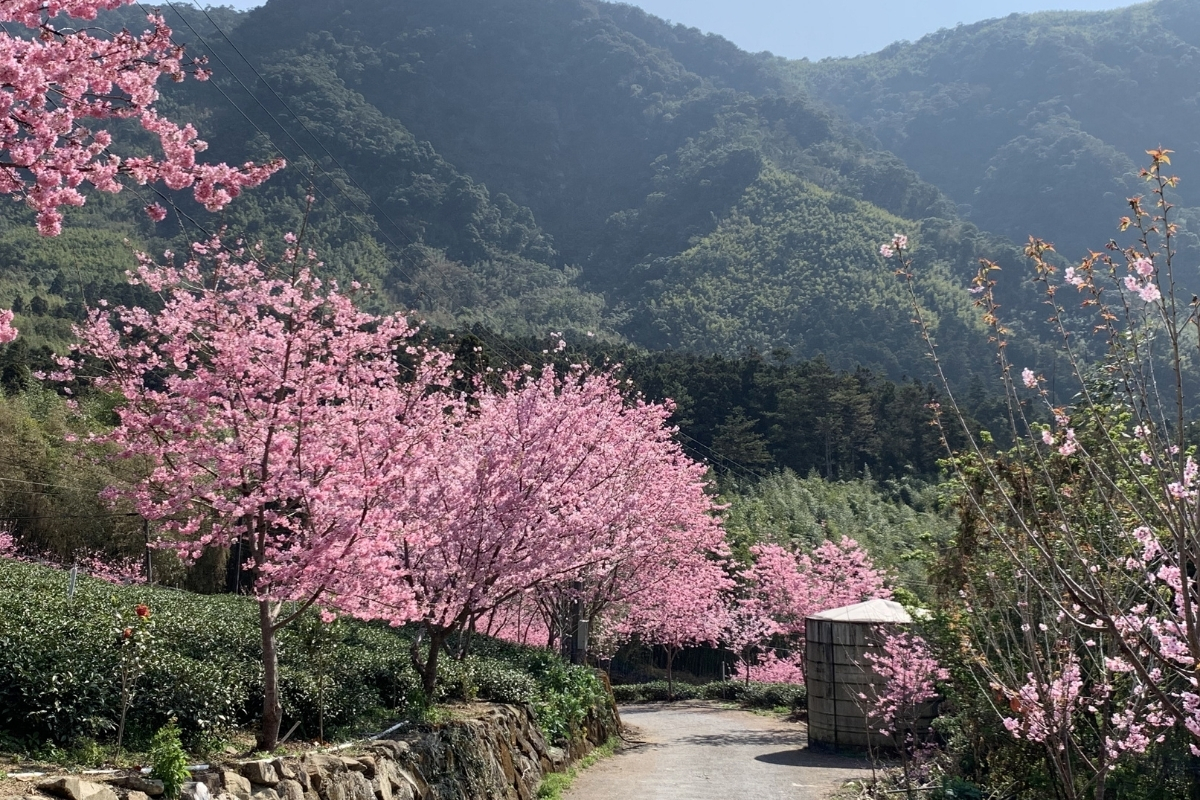 Avoid The School Holiday Crowds At These Travel Destinations