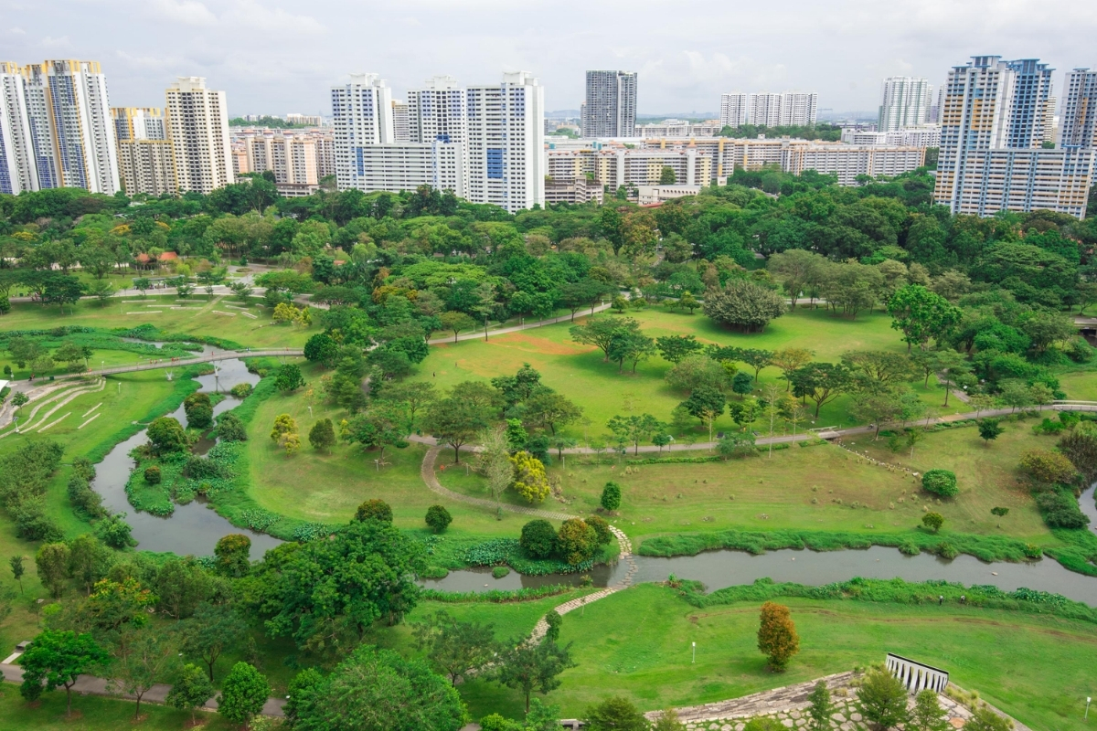 Where You Can Touch Grass on the Weekends in Singapore